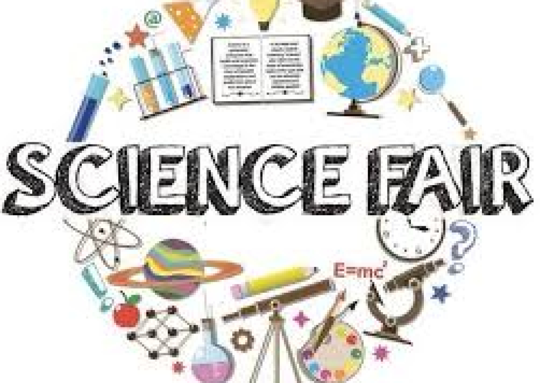 sience fair